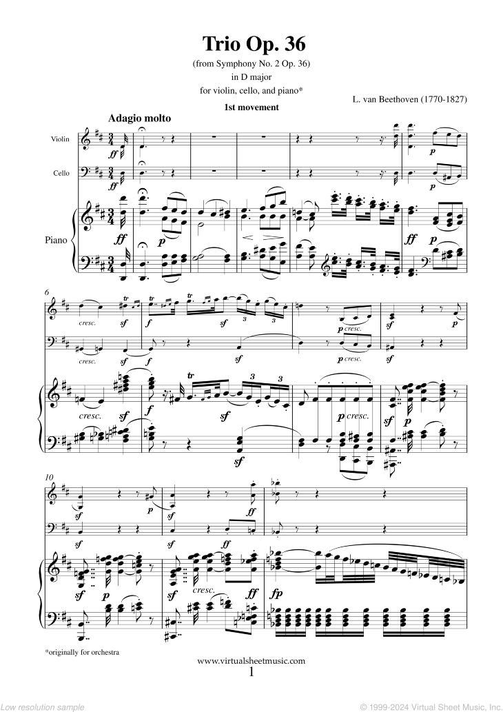 Noten Trio Op. 36 in D major, first movement